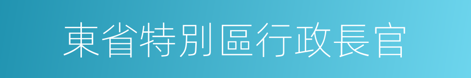 東省特別區行政長官的同義詞