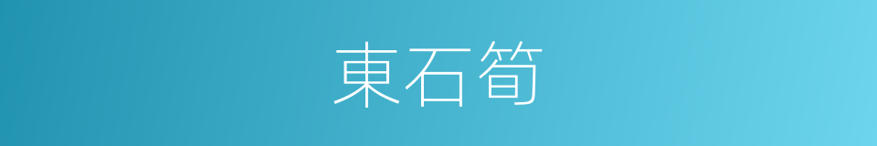 東石筍的同義詞