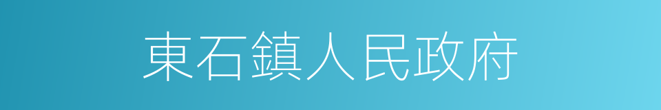 東石鎮人民政府的同義詞