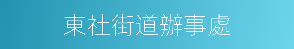 東社街道辦事處的同義詞