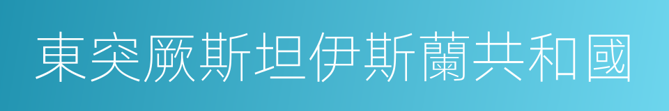 東突厥斯坦伊斯蘭共和國的同義詞