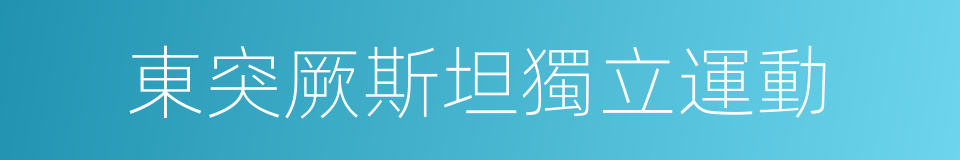 東突厥斯坦獨立運動的同義詞