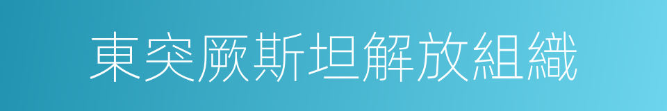 東突厥斯坦解放組織的意思