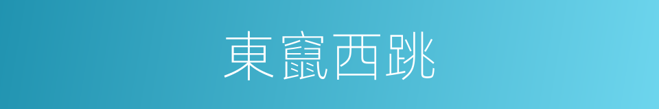東竄西跳的同義詞