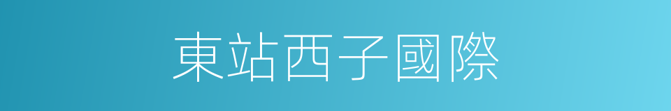 東站西子國際的同義詞
