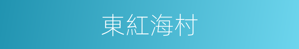 東紅海村的同義詞