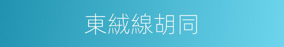 東絨線胡同的同義詞