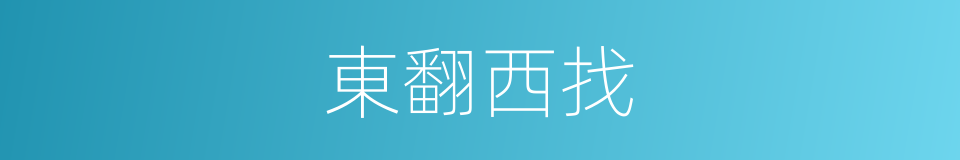 東翻西找的意思