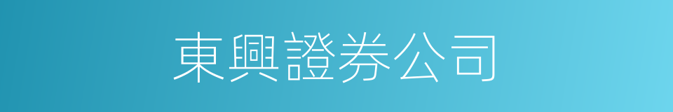 東興證券公司的同義詞