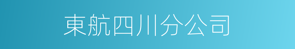 東航四川分公司的同義詞