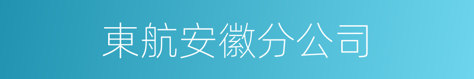 東航安徽分公司的同義詞