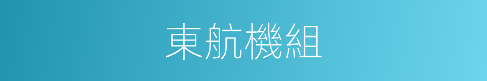 東航機組的同義詞