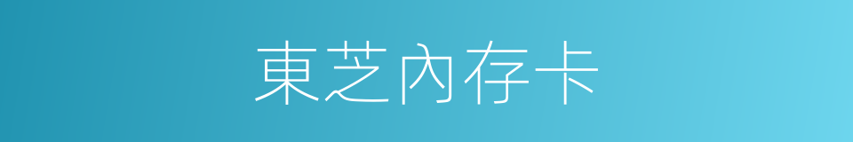 東芝內存卡的同義詞