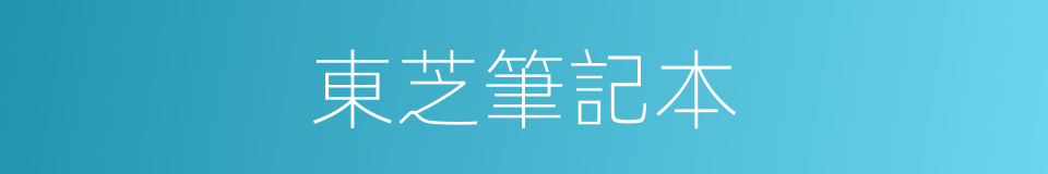 東芝筆記本的同義詞