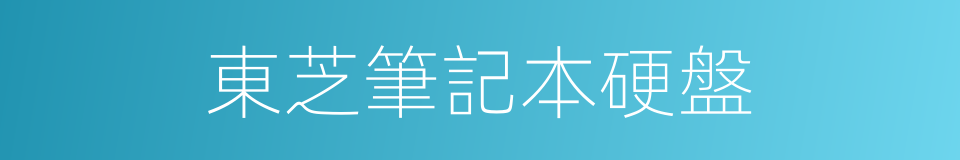 東芝筆記本硬盤的同義詞