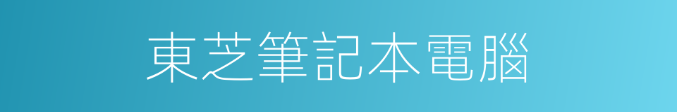 東芝筆記本電腦的同義詞