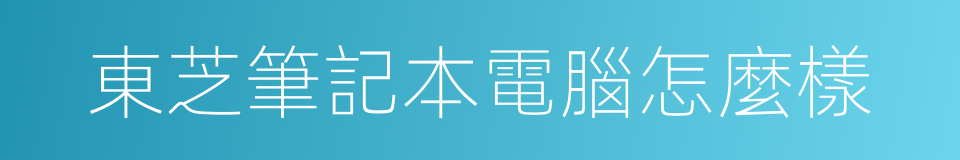 東芝筆記本電腦怎麼樣的同義詞