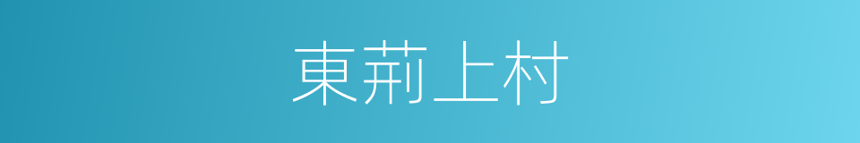 東荊上村的同義詞