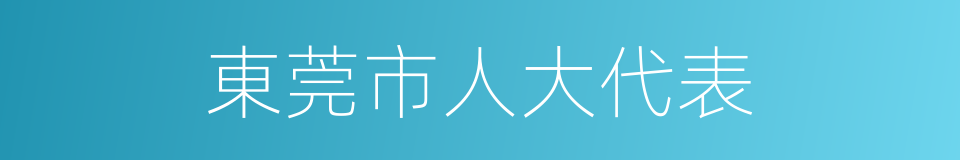 東莞市人大代表的同義詞