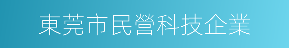 東莞市民營科技企業的同義詞