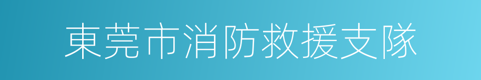 東莞市消防救援支隊的同義詞