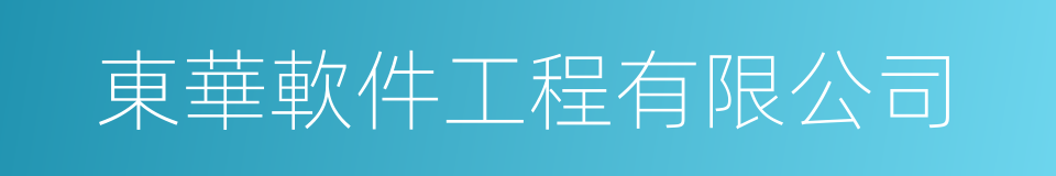 東華軟件工程有限公司的同義詞
