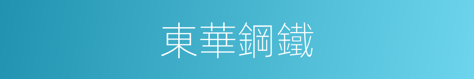 東華鋼鐵的同義詞