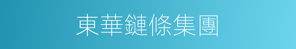 東華鏈條集團的同義詞