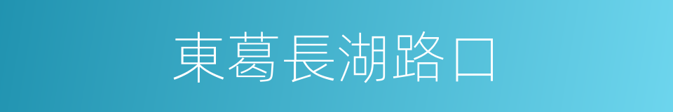 東葛長湖路口的同義詞