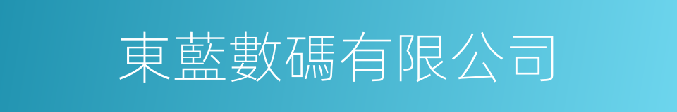 東藍數碼有限公司的同義詞