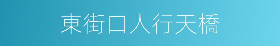 東街口人行天橋的同義詞