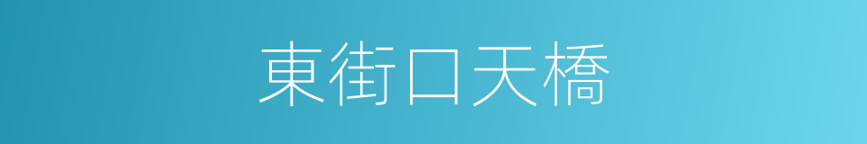 東街口天橋的同義詞