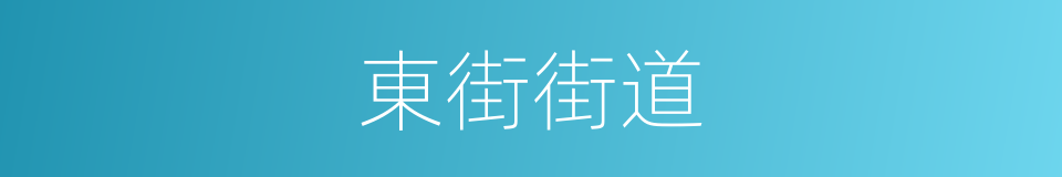 東街街道的同義詞