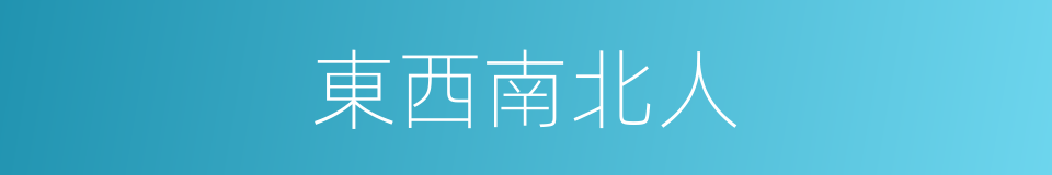 東西南北人的意思