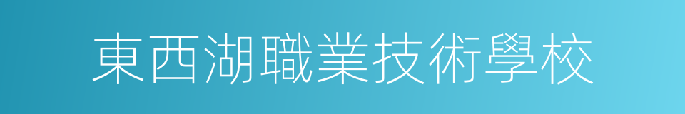 東西湖職業技術學校的同義詞