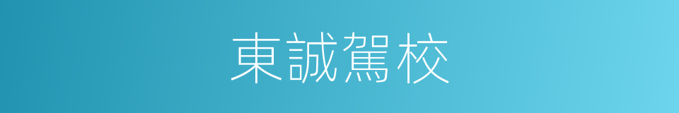 東誠駕校的同義詞