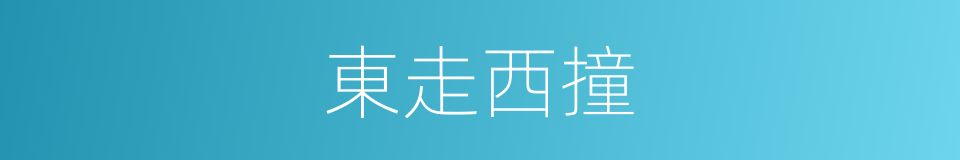 東走西撞的意思