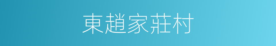 東趙家莊村的同義詞
