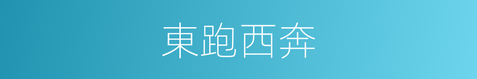 東跑西奔的意思