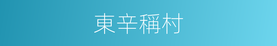 東辛稱村的同義詞