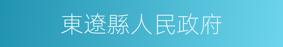 東遼縣人民政府的同義詞