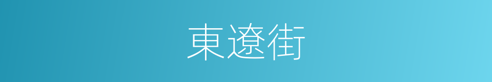 東遼街的同義詞