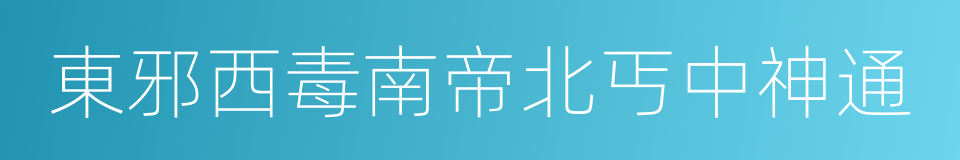 東邪西毒南帝北丐中神通的同義詞