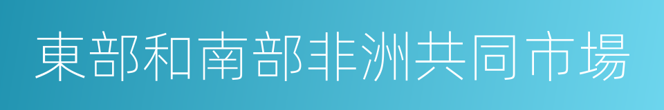 東部和南部非洲共同市場的同義詞