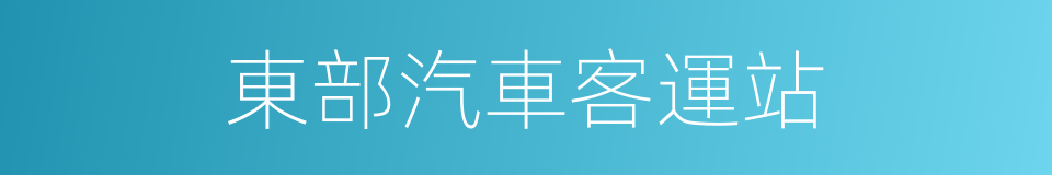 東部汽車客運站的同義詞