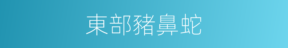 東部豬鼻蛇的同義詞