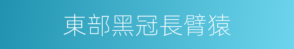 東部黑冠長臂猿的同義詞