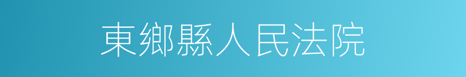 東鄉縣人民法院的同義詞