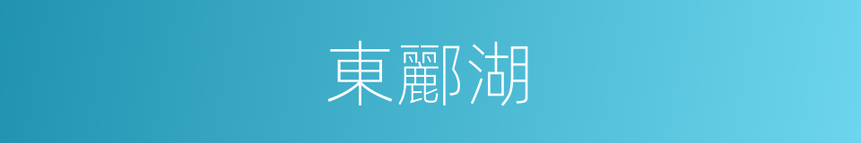 東酈湖的同義詞
