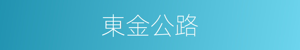 東金公路的同義詞